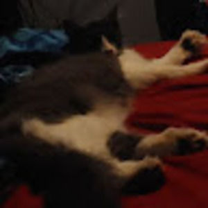 Meet your Posher, Caleb